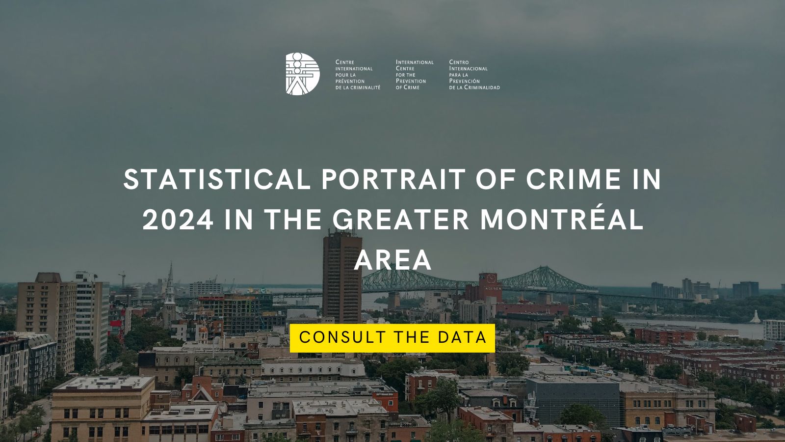 Statistical Portrait of Crime in 2024 in the Greater Montréal Area